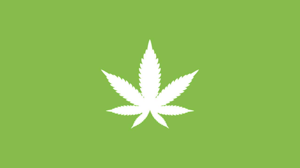 小老弟业务网-小红书自助平台业务下单真人-24小时dy下单平台便宜